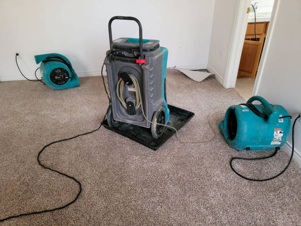 Best Mold removal after water damage  in Coson, OK