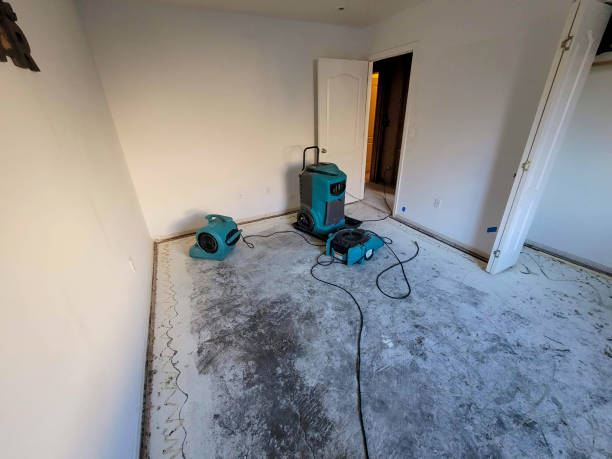 Best 24-hour water damage restoration  in Coson, OK