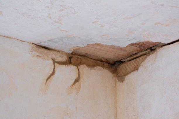 Best Flood damage cleanup  in Coson, OK
